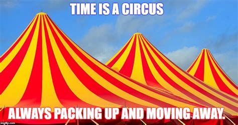 circus memes|work is a circus meme.